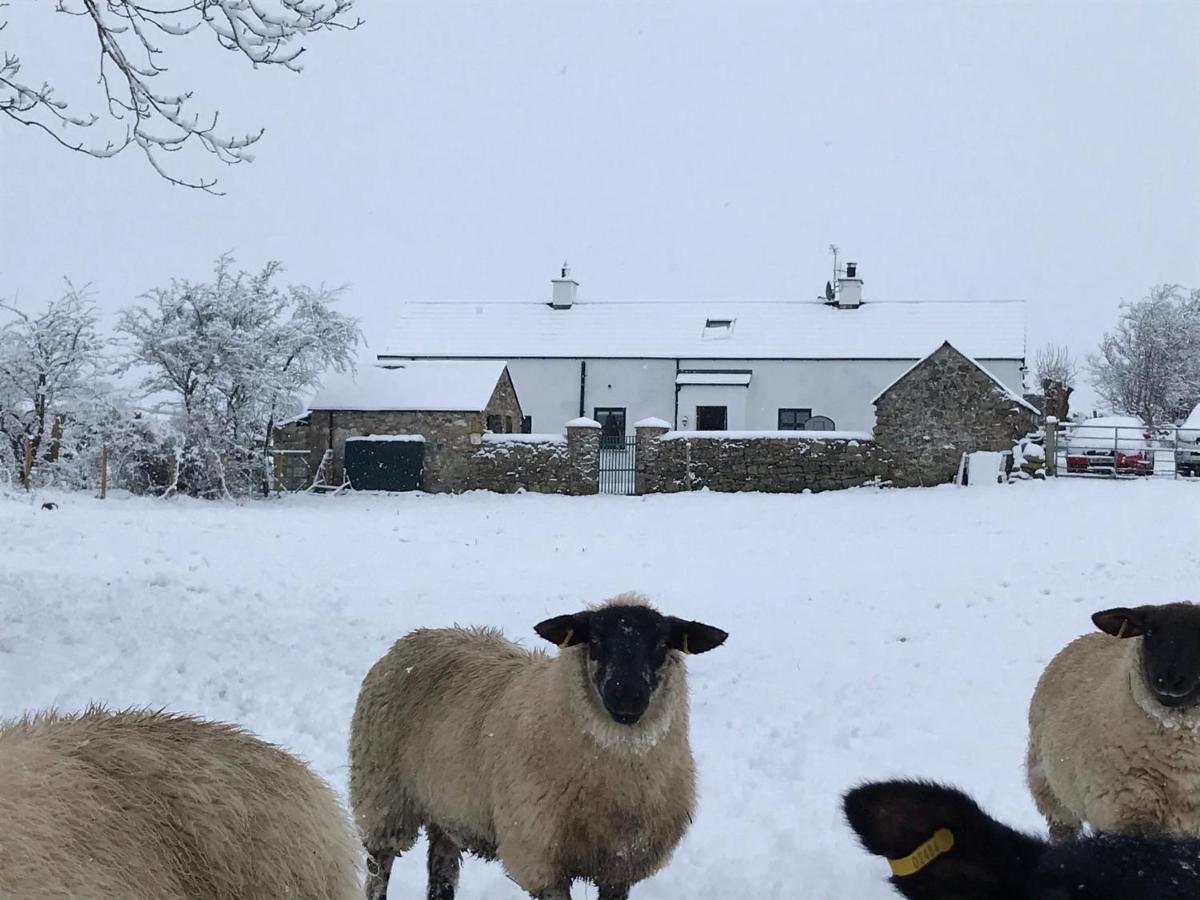 Mournes Family Cottage With Hot Tub Hilltown ภายนอก รูปภาพ